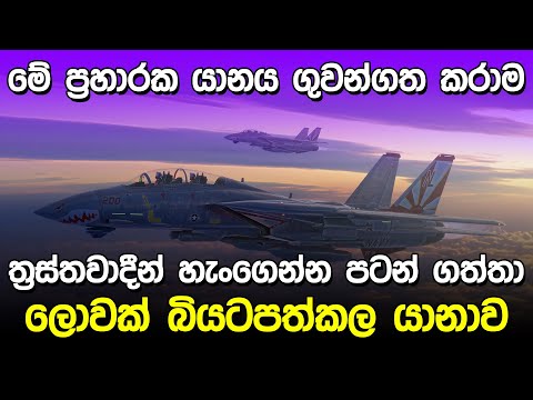 ත්‍රස්තවාදීන් බියටපත්කල ප්‍රහාරක යානාව | Grumman F-14 Tomcat |