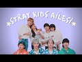 Trke altyazl stray kids skz family  stay 3rd anniversary