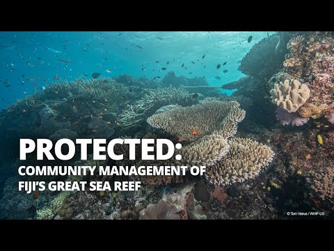 Video Community Management of Fiji’s Great Sea Reef