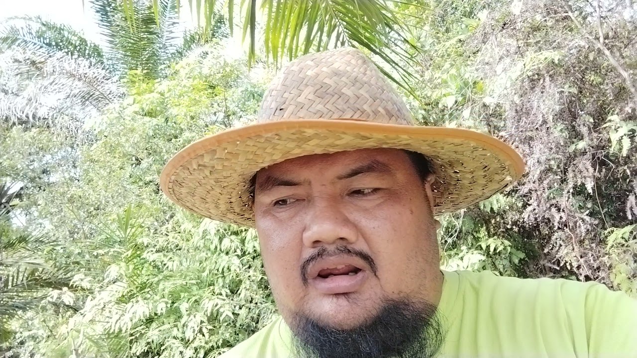 kerja sendiri