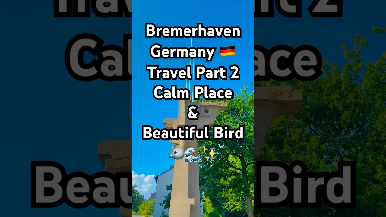 Bremerhaven Travel Part 2 | Calm Place & Beautiful Bird 🐦🌊✨#bremen #travel #srilanka #germany #fyp