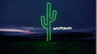 Video thumbnail of "The National Parks || Wildflower (Official Lyric Video)"