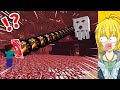 【マイクラ】絶対にありえない奇跡を起こしまくるマインクラフト【まいくら・マインクラフト】