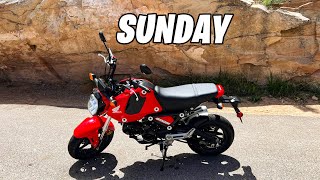 SUNDAY- Honda Grom by Driver's Therapy 200 views 9 days ago 8 minutes, 51 seconds