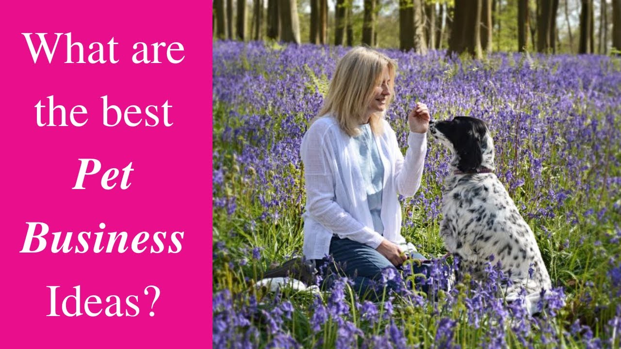 What are the Best Animal and Pet Business Ideas? YouTube