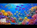 Peaceful Underwater Realm 8K — Explore Beautiful Sea Animals and Coral Reefs with Ocean Ambience
