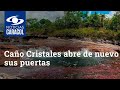 Caño Cristales abre de nuevo sus puertas al mundo