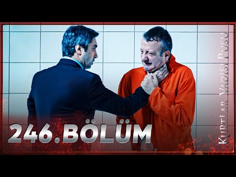 Kurtlar Vadisi Pusu - 246. Bölüm FULL HD