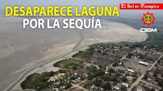 Desaparece laguna del Mayorazgo en el norte de Veracruz: avanza la sequía en Pánuco