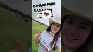 Beefmaster Mexicano, 6 esenciales #beefmastermexicano
