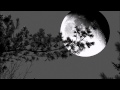 Miniature de la vidéo de la chanson Pièces Froides Nº 1 : Airs À Faire Fuir : Ii.