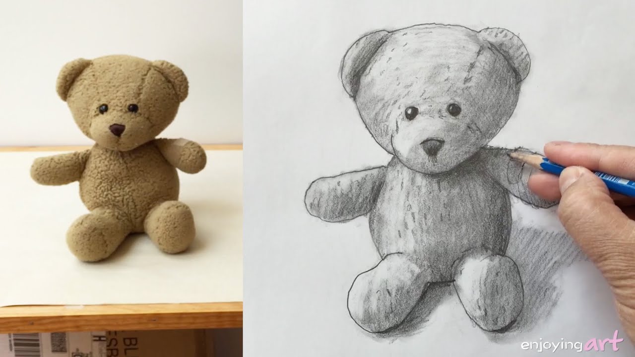 Teddy Bear reading - Pencil Drawing - Kathleen Stuart Art