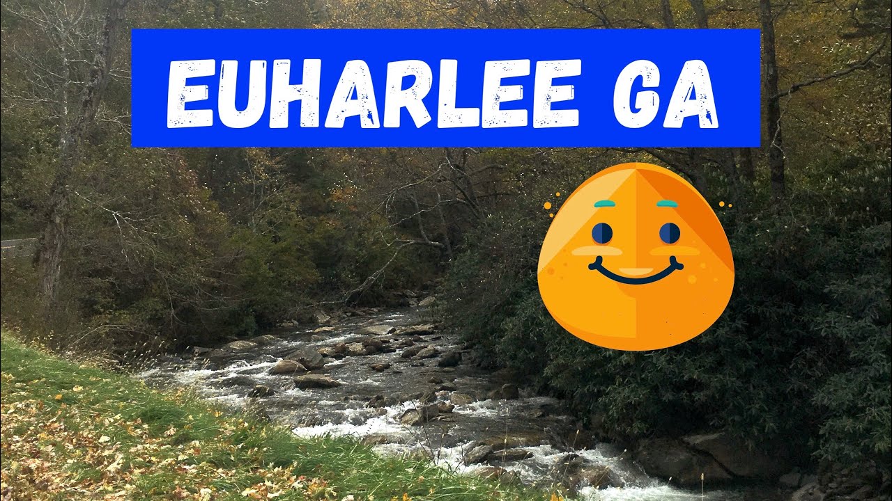 This video is a tour of Euharlee Ga! This is Part 1 of 2. YouTube