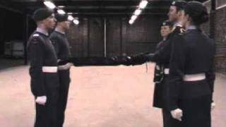 Squadron Banner Drill, uncasing the banner