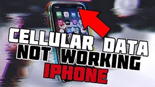 How to FIX Cellular Data Not Working iPhone XR