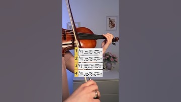 #violin #violinist #violinlessons #violinstudent #violinteacher #tips #violinbeginner #musiclover