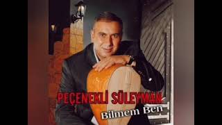 Peçenekli Süleyman _ Bilmem Ben Resimi