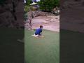 Park Fun! Slide! #shorts #youtubeshorts #poplikethis