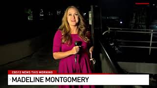 Toxic algae takes over Pahokee Marina