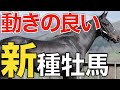 【1番時計】2歳馬セールで新種牡馬の産駒が激走！これは成功の兆しかも。【一口馬主】