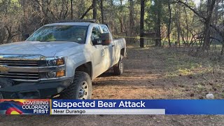 Human Remains Found In Stomach Of Bear, Cub After Woman Killed North Of Durango