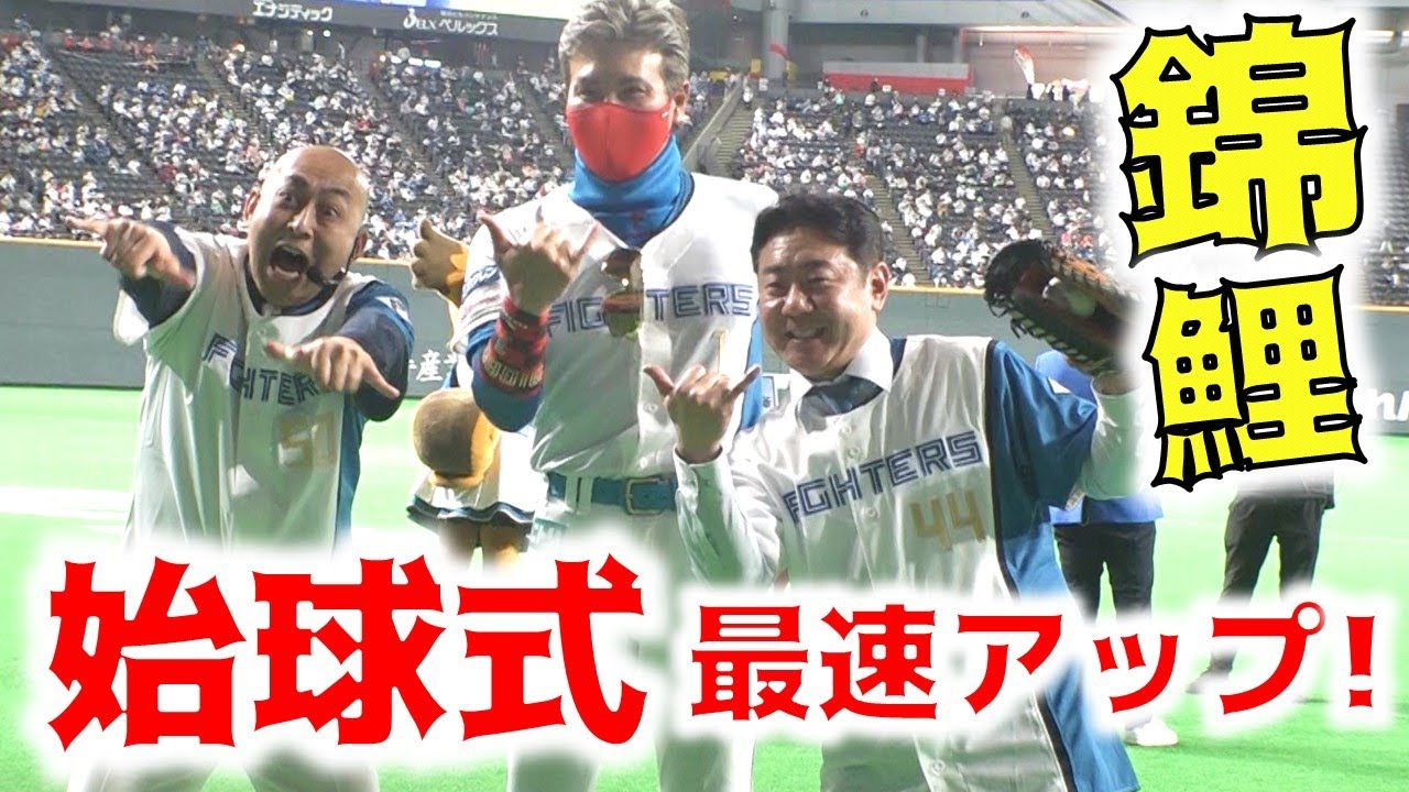 錦鯉が史上初のこんにちは投法 札幌ドームがどよめいた Youtube