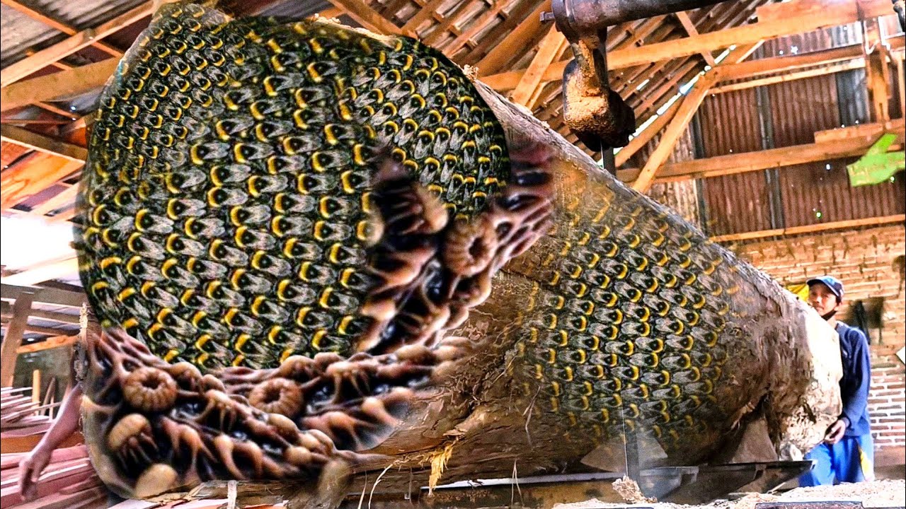 Mengerikan kayu pembunuh hampir membuatku celaka!