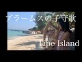 ブラームスの子守歌 おとつぶハープ15弦 #おとつぶハープ