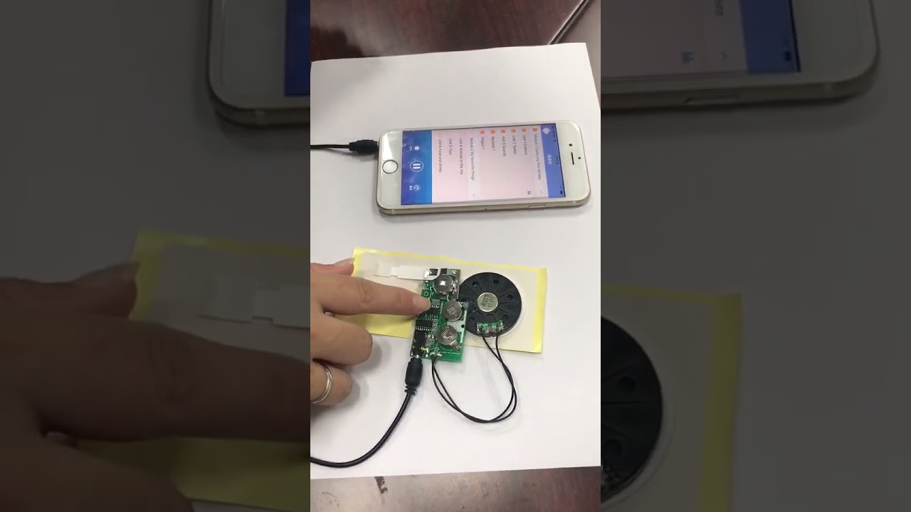 Upload your Custom Audio - Phone to Audio Device!  Programming is Easy as 1-2-3  🎵 Greeting Cards!