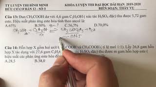 ID280819313