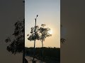 #viral #farmer#short