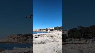 Cala Agulla beach #musica fresto💓