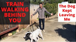 GET YOUR DOG TO WALK BEHIND YOU.