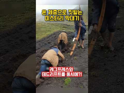 농사인가 하체 운동인가? 수천 년간 이어진 맨몸 근손실 방지법｜The Hardest Leg Workout in the World: Ancient Inca Farming thumbnail