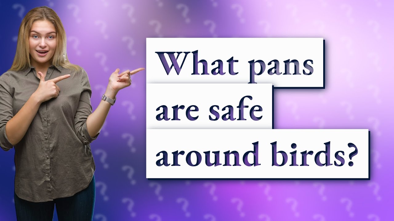 What pans are safe around birds? YouTube