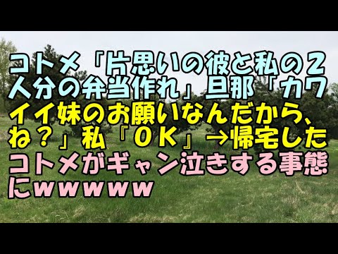 【ＤＱＮ返し】コトメ「片思いの彼と私の２人分の弁当作れ」旦那「カワイイ妹のお願いなんだから、ね？」私『ＯＫ』 → 帰宅したコトメがギャン泣きする事態にｗｗｗｗｗ【痛快・スカッとジャパン!】