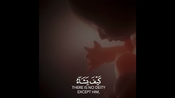 قرآن كريم بصوت القارئ عبدالرحمن مسعد تلاوة هادئة ارح قلبك 🌿🍃 حالات واتس اب اسلامية / ستوريات قرآن