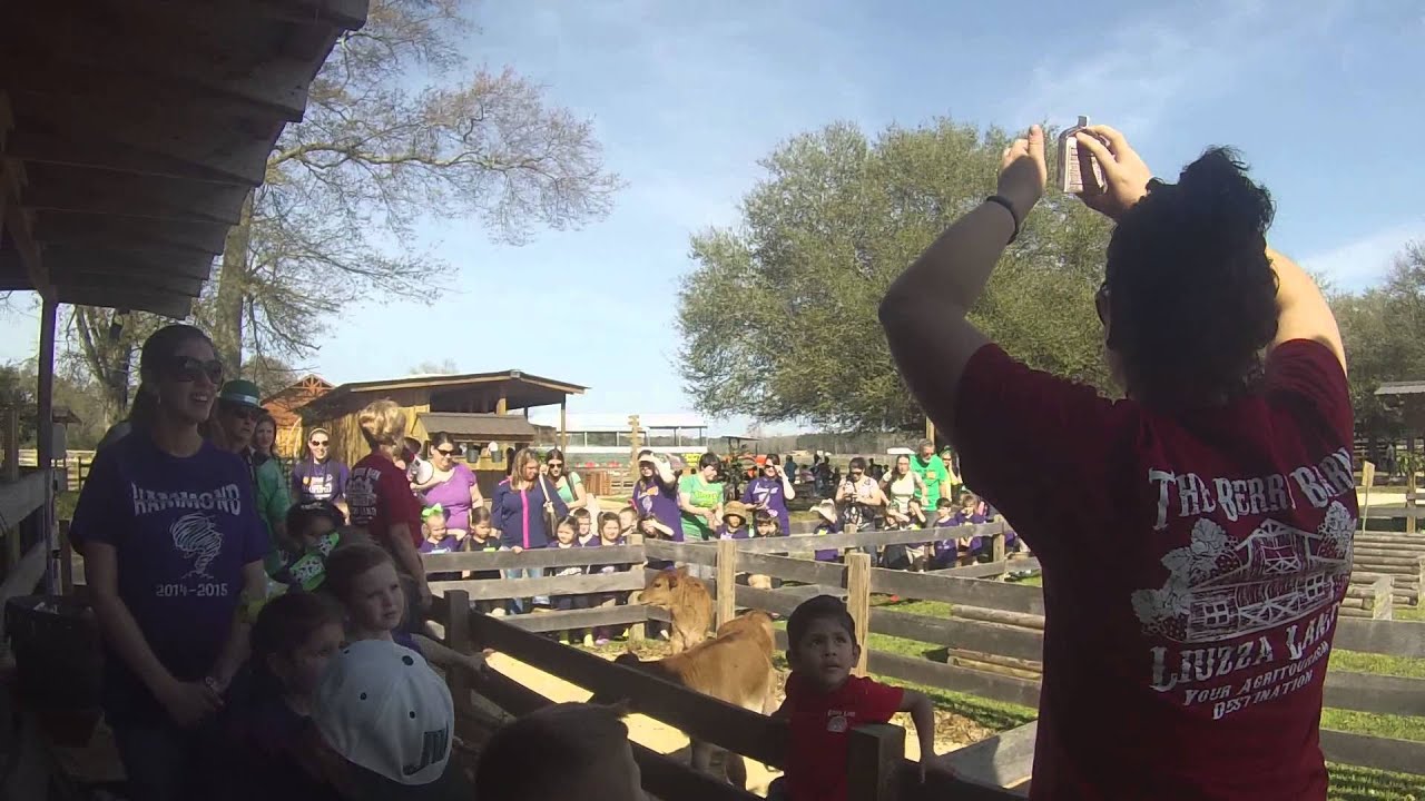 Market Walk At Liuzza Farms