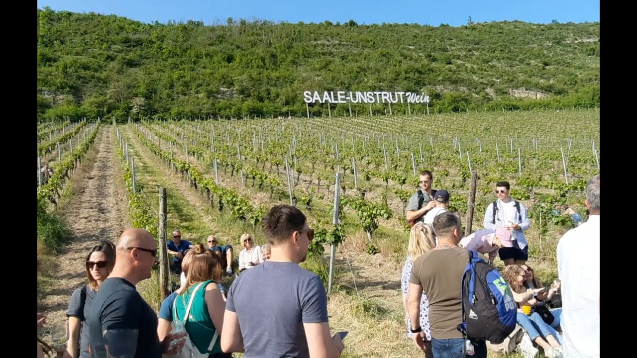 Saale-Weinmeile 2023