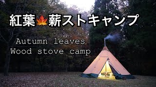 紅葉と薪ストキャンプ～Autumn leaves wood stove camp