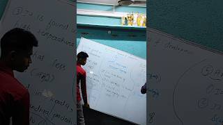 Now learning gone much more easier with advanced Ai smart board in Ds tutorial #smartboard #coaching