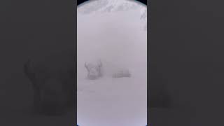 IMG 9485 d12deebb 06ff 4a9e 8b97 182aefcd67e0