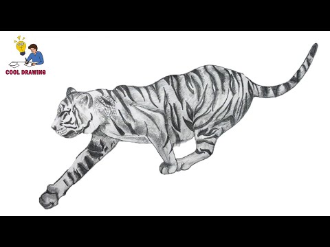 How to draw tiger | Tiger pencil drawing tutorial | Drawing tiger | Drawing animals | Draw tiger