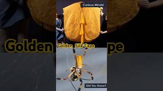 The Rarest Textile on Earth: Golden Silk Cape Made from Spider Silk | Extraordinary Craftsmanship screenshot 2