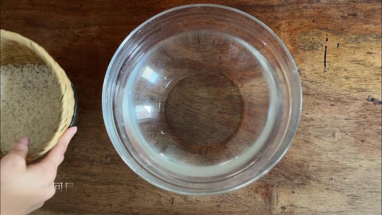 お米の発酵水/How to make lactic acid fermented rice water YouTube