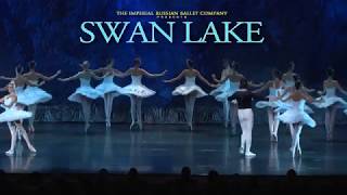 Swan Lake 2019