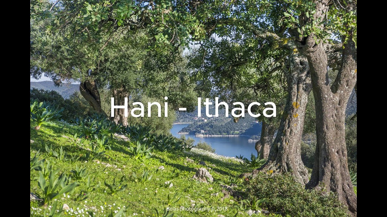 Delas properties Ithaca Greece Hani Ithaca property code