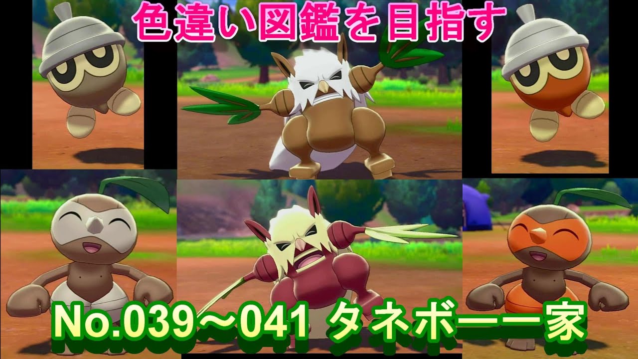 色違い図鑑 No039 041 タネボー一家の場合 ポケモン剣盾 Youtube