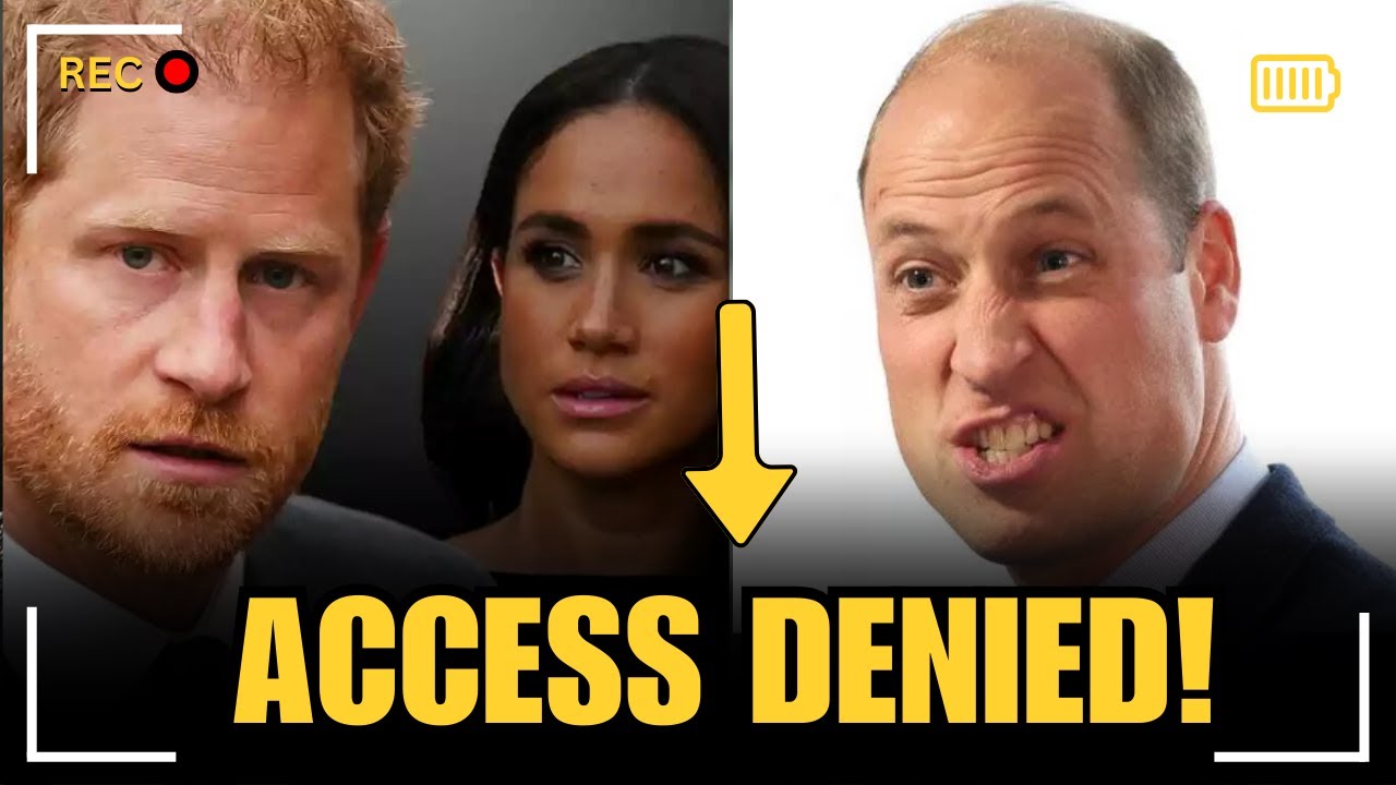 СЕНСАЦИОННОЕ ИЗДАНИЕ: Королевский автор только что ВЫРАЗИЛ НЕНАВИСТЬ принца Уильяма к Гарри и Мег...