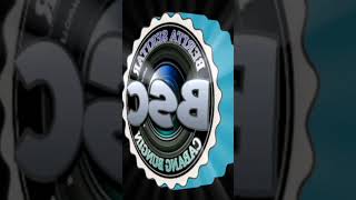 Logo 3D BSC
